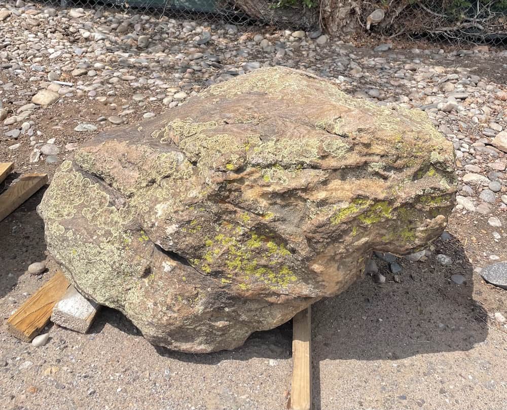 Moss Character Rock